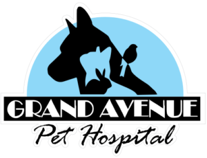 Grand Avenue Pet Hospital Caring For Your Best Friends